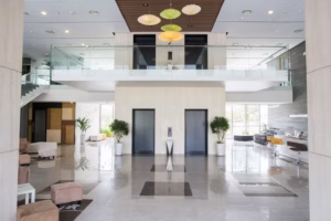 Expect During an Office Build-Out